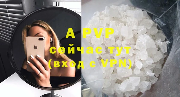 спиды Абаза