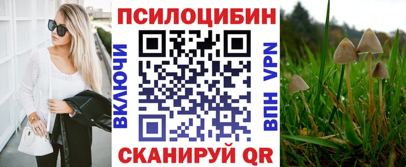 Галлюциногенные грибы Psilocybine cubensis  Нижние Серги 